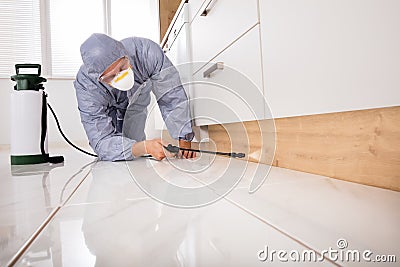 Exterminator Spraying Pesticide In Kitchen Stock Photo