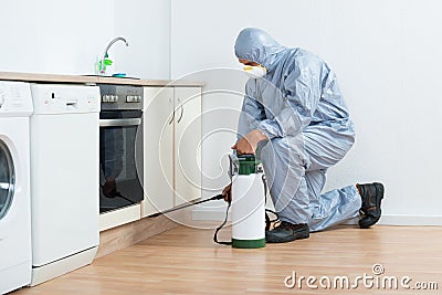 Exterminator Spraying Pesticide On Wooden Cabinet Stock Photo