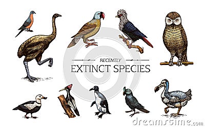 Extinct species. Wild mammal animals and birds.Dodo. Moa Passenger pigeon Great auk. Penguin. Mascarene parrot. Labrador Vector Illustration