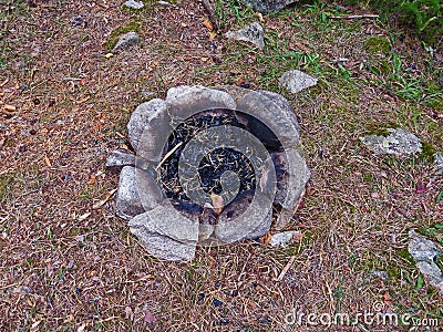 Extinguished fire place in the mountain pine forests Stock Photo