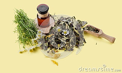 Extract infusion of medicinal herbs in bottle. Chamomile flower and dry medicinal plants for herbal medicine on yellow paper Stock Photo