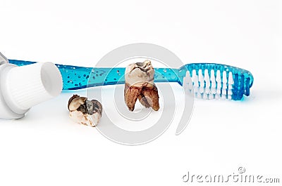 Extracted molar teeth with caries decay and filling with tooth paste and empty tube of tooth paste Stock Photo