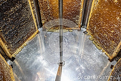 Extracting honey, honey flowing out of centrifuge into a sieve hanging in a bucket Stock Photo