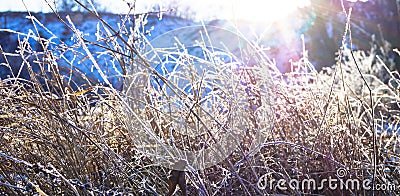 extraordinarily beautiful winter landscape like in a fairy tale Stock Photo