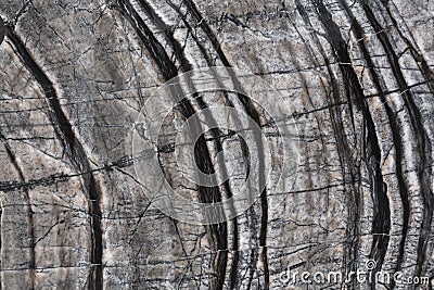 Extraordinary marble texture for your new design. Stock Photo