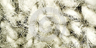 Extreme close up of the loops and threads in the wool of a sweater, ultra macro, abstract texture or pattern Stock Photo