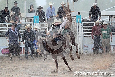 Extreme Rodeo Editorial Stock Photo