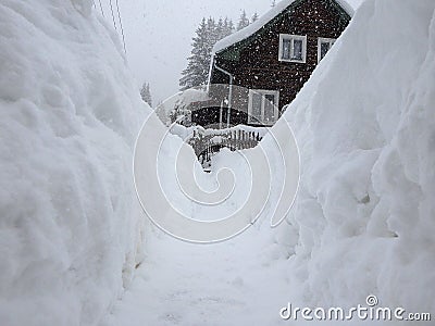 Extreme snow calamity Stock Photo