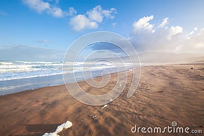 Pensacola Beach in Florida. Seagulls, breakers, blue skies, emerald waters Stock Photo