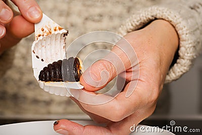 Bee hives extruded with plastic form from unbaked sweet dough, creme and biscuits Stock Photo