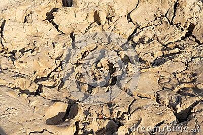 exture of dry and dehydrated ground surface with cracks. Stock Photo