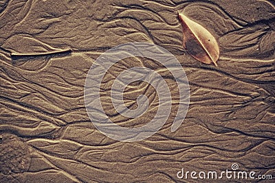 Exture of wet sea sand with patterns of water close up Stock Photo