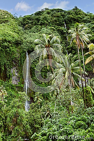 Exuberant vegetation and waterfalls Stock Photo