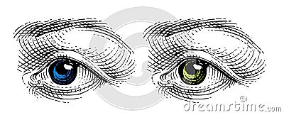 Eye Vector Illustration