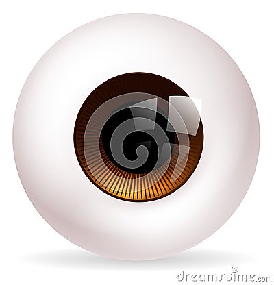 Eye ball Vector Illustration