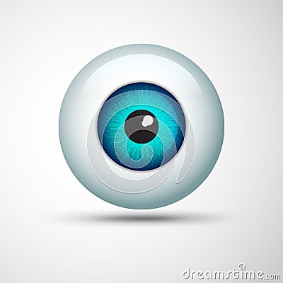 Eye Ball Vector Illustration