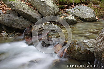 An eye-catching and refreshing forest stream Stock Photo