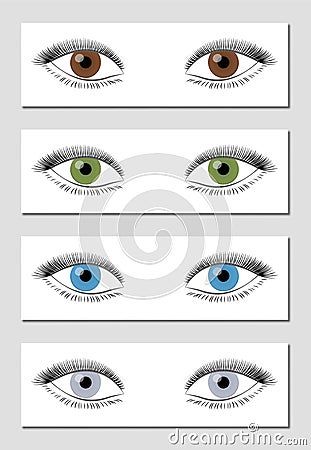 Eye Color Chart Brown Green Blue Gray Vector Illustration