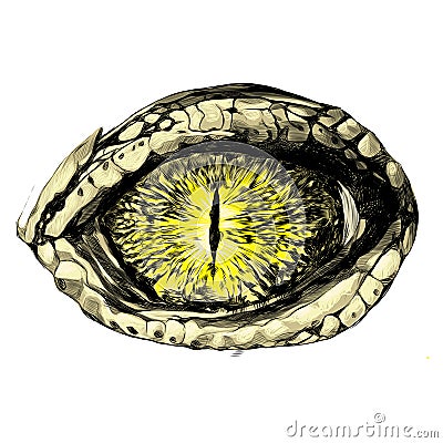 Eye of a crocodile Vector Illustration