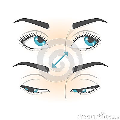 Eye exercise. Movement for eyes relaxation. Eyeball, eyelash Vector Illustration