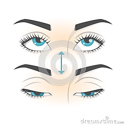 Eye exercise. Movement for eyes relaxation. Eyeball, eyelash Vector Illustration