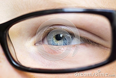 Eye in glasses close up Stock Photo