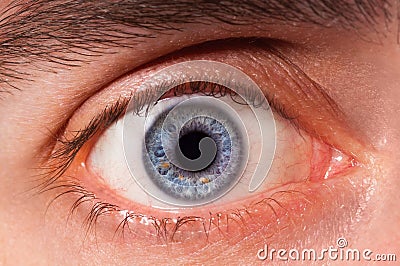 Eye Stock Photo