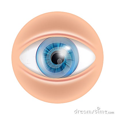 Eye Human Facial Organ With Contact Lenses Vector Stock Photo