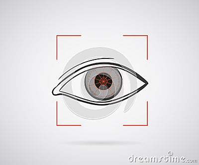 Eye identification Vector Illustration