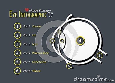 Eye infographic . Flat design . Vector Illustration