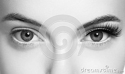 Eye lashes, lash extension woman lashes close up macro monochrome Stock Photo