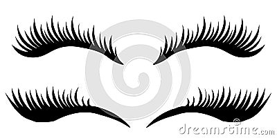 Eye lashes vector icon. Vector Vector Illustration