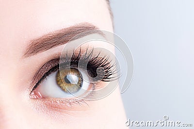 Eye with long eyelashes, beautiful makeup and light brown eyebrow close-up. Eyelash extensions, microblading, tattoo, permanent, Stock Photo