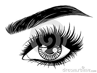 Eye with long eyelashes and brows Vector Illustration