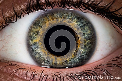 Eye Macro Stock Photo