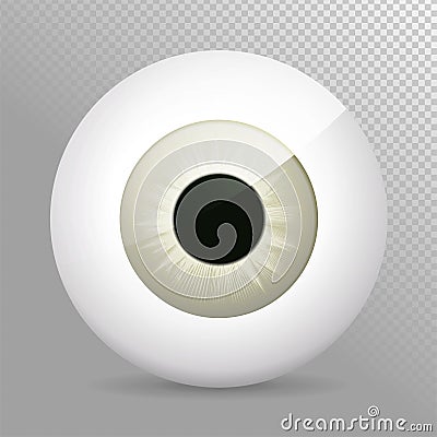 Eye, gray. Realistic 3d grayeyeball vector illustration. Real human iris,pupil and eye sphere. Icon on transparent background. Vector Illustration