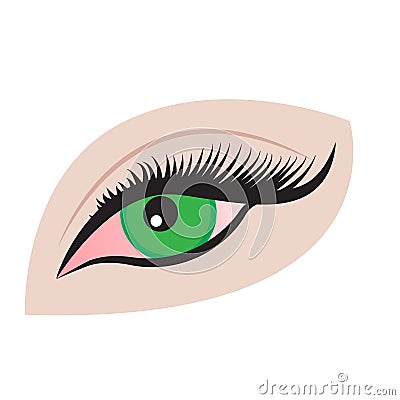 An eye Vector Illustration