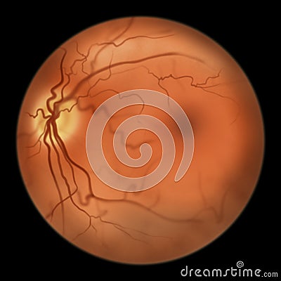 Eye retina, scientific illustration Cartoon Illustration