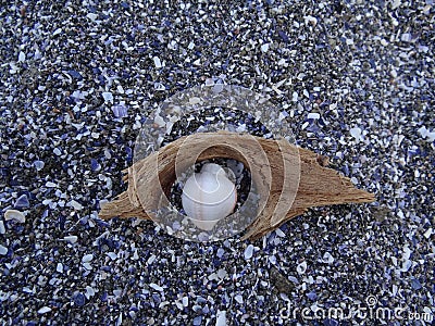 Symbolic sea objects Stock Photo