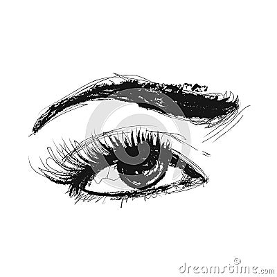 Eye Vector Pencil Drawing Vector Illustration