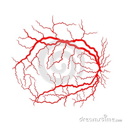 Eye vein system x ray angiography vector design isolated on whit Vector Illustration