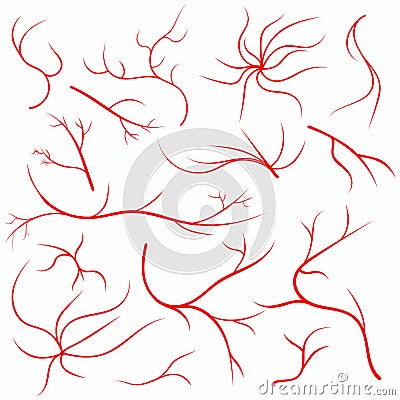 Eye veins. Human eye vessels, blood arteries set. Medical eyeball vein arteries system Vector Illustration