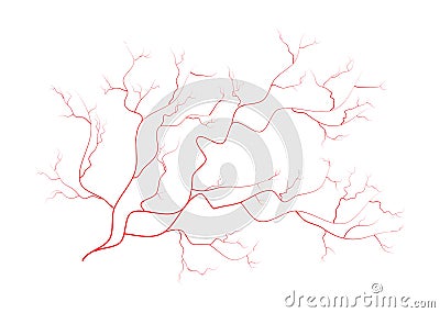 Eye veins, human red blood vessels, blood system. Vector illustration on white background Cartoon Illustration