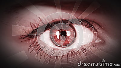 Eye viewing digital information. Stock Photo