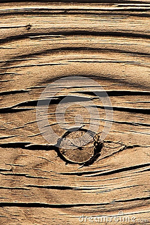 THE EYE OF THE WOOD 11 Stock Photo