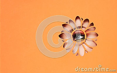 Eye of a young beautiful woman with a beauty make-up Stock Photo