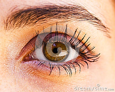 Eyeball Stock Photo