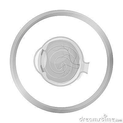 Eyeball icon in monochrome style isolated on white background. Organs symbol stock vector illustration. Vector Illustration