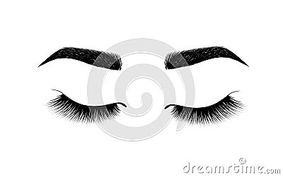 eyebrow perfectly shaped. permanent make-up and tattooing. Cosmetic for eyebrows. Eyelash extension. A beautiful make-up. Thick fu Stock Photo