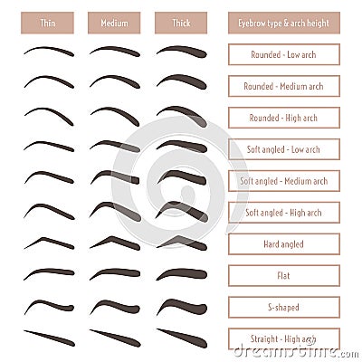 Eyebrow shapes. Various brow types. Vector table with eyebrows and captions. Vector Illustration